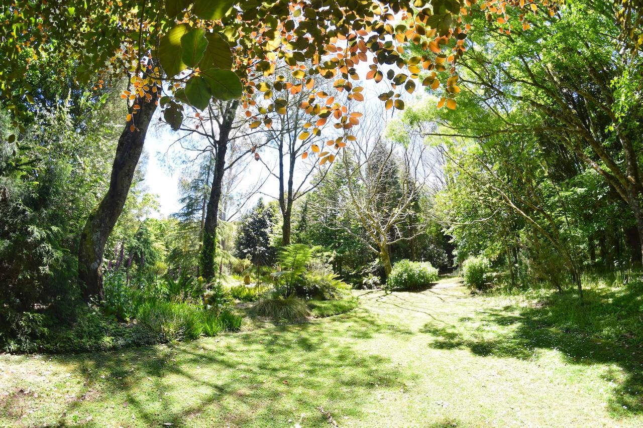 Tepopo Gardens Rural Retreat Villa Stratford Exterior foto